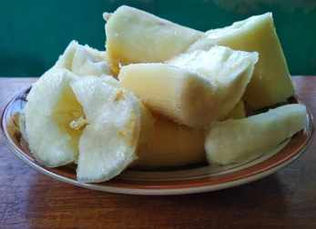 CASSAVA